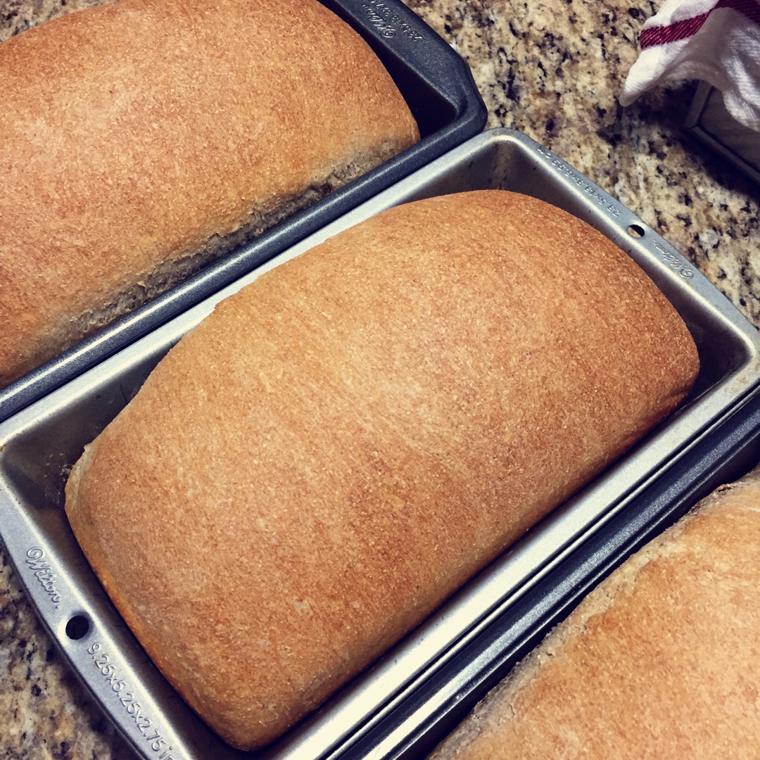 【天然酵母吐司篇】——湿润松软山形吐司