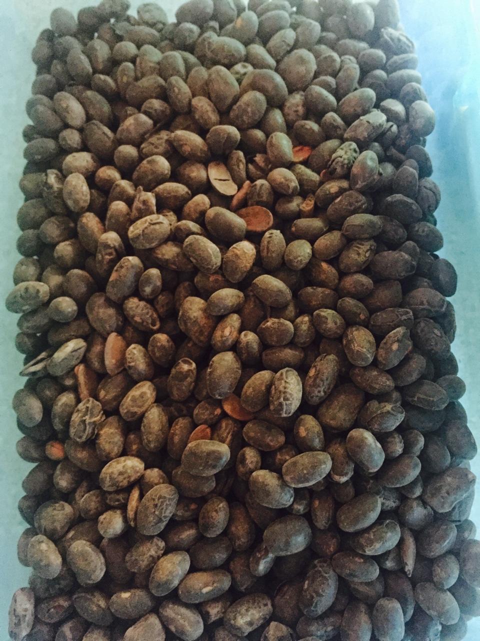 炒黑豆零食（调经备孕）