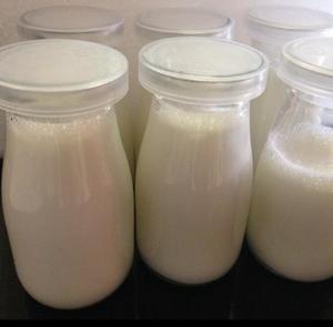 无需酸奶机的自制酸奶的做法 步骤3