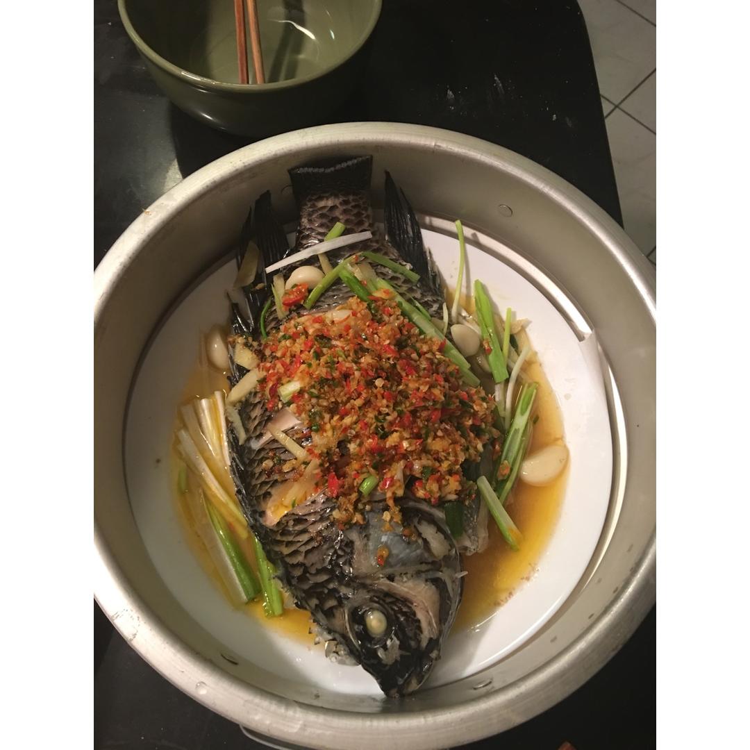 清蒸罗非鱼