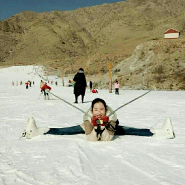 百合花�提拉米苏�公举