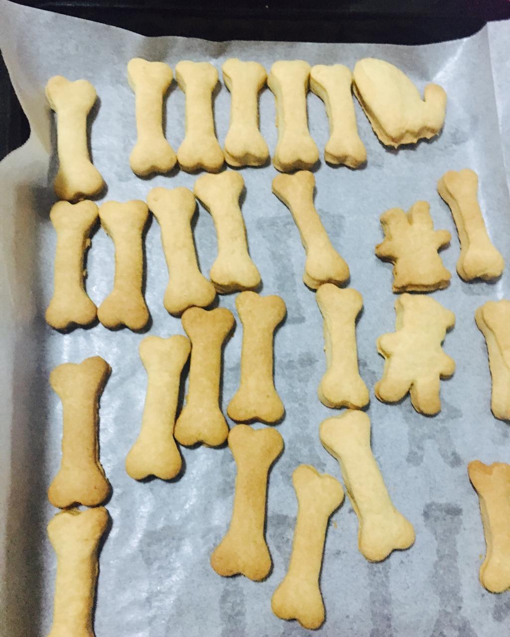 狗骨头小饼干