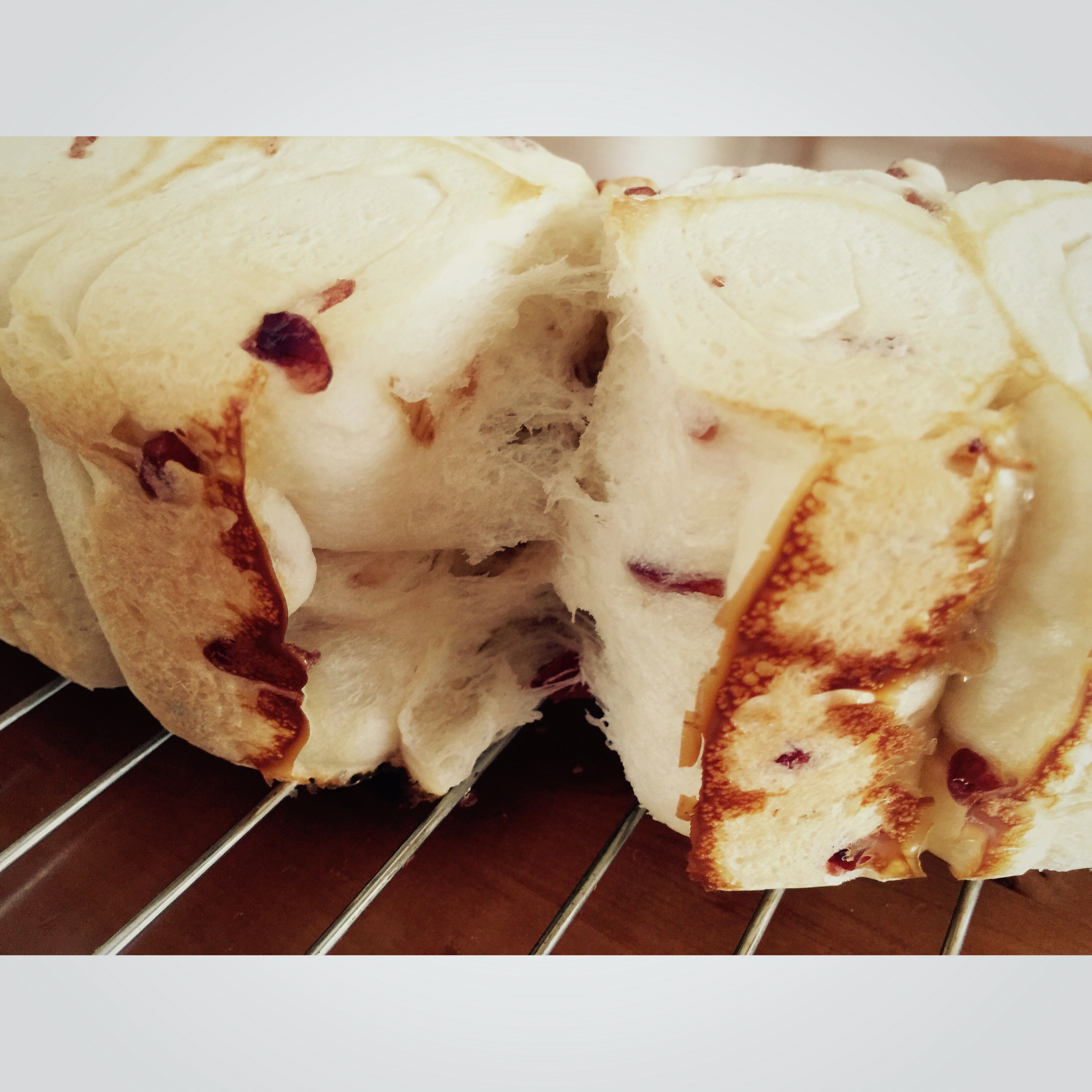 柔软无敌的酸奶蔓越莓面包卷