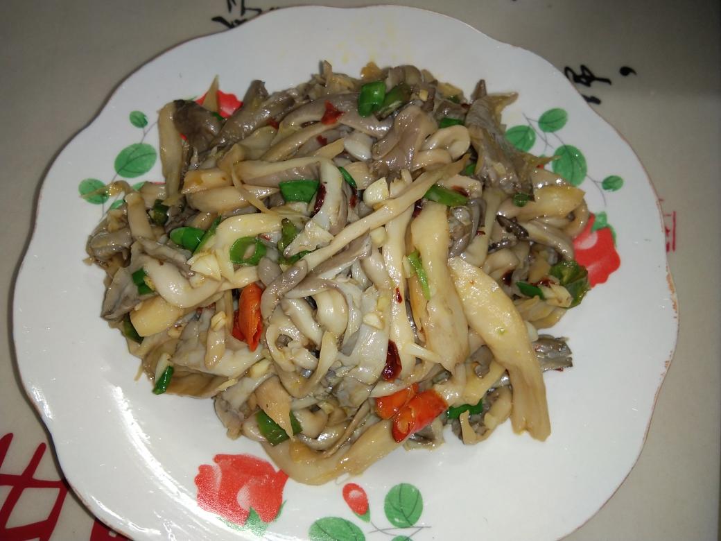 平菇的神仙做法