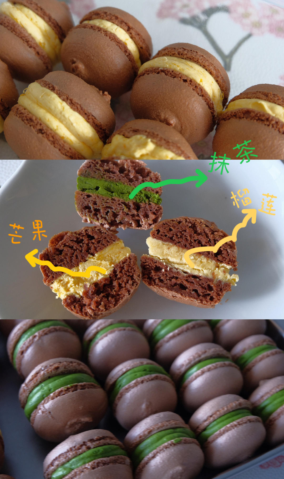 PH100%巧克力马卡龙