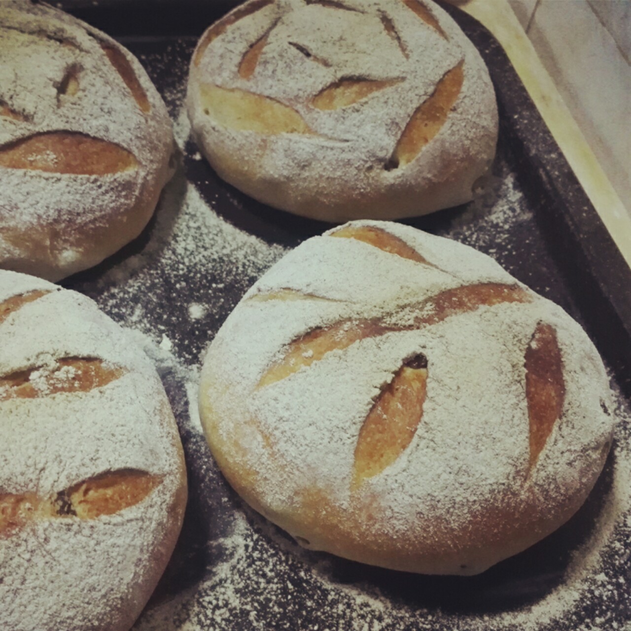 黑麦蔓越莓软欧包