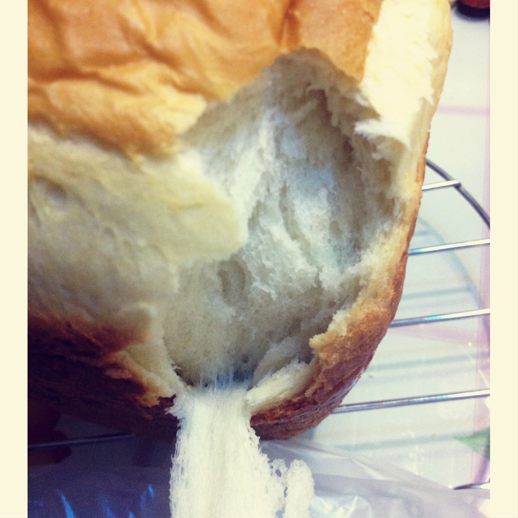 松下面包机105中种北海道面包