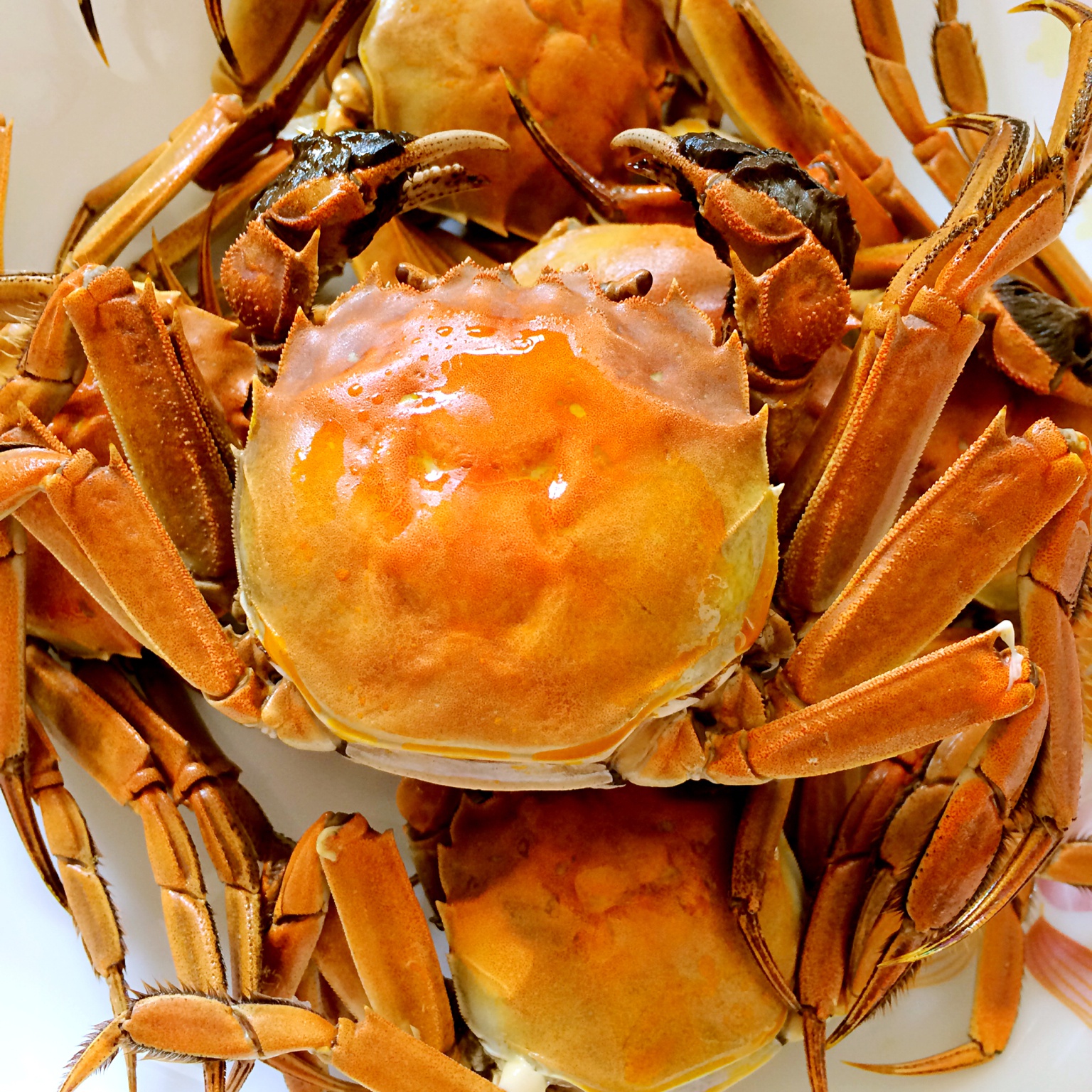 猫小懒l做的蒸大闸蟹