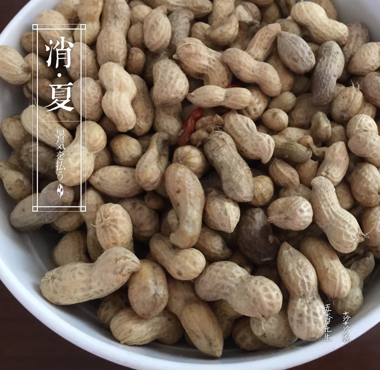 便当盒小护士 快私奔