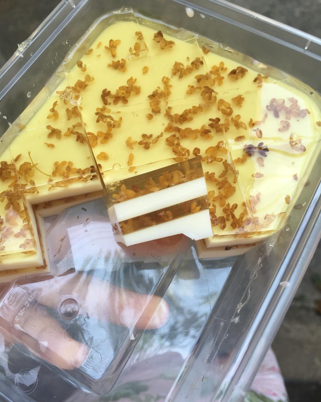“会动的”椰汁桂花糕