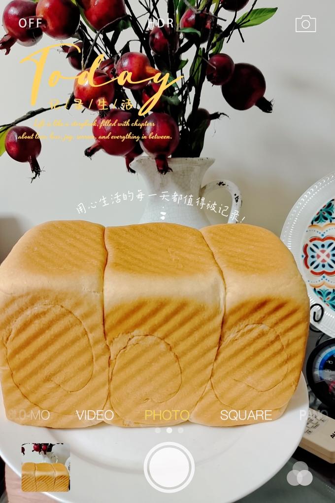 超软拉丝一次性发酵吐司（面包）