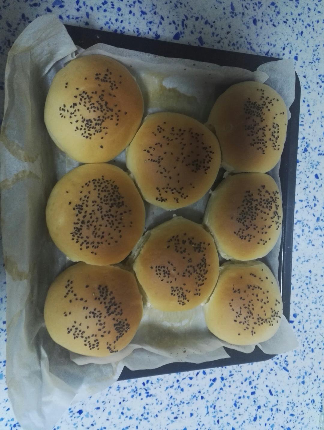 中种汉堡胚