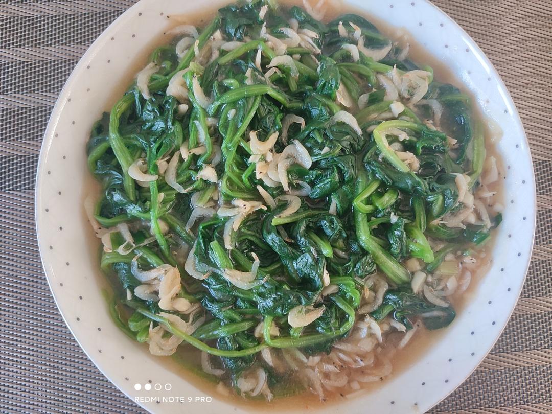 油焖菠菜