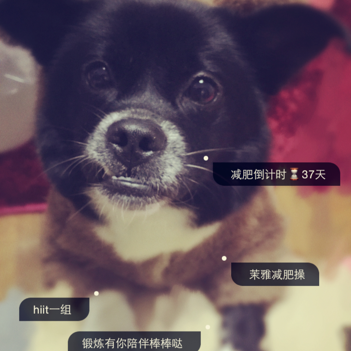 This too shall pass。