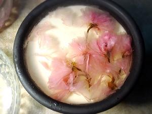 樱花酸奶冻芝士的做法 步骤16