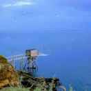 手機(jī)用戶5185_0mat