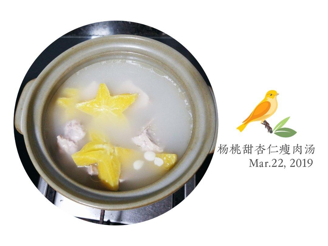 南北杏本地杨桃煲咸瘦肉汤