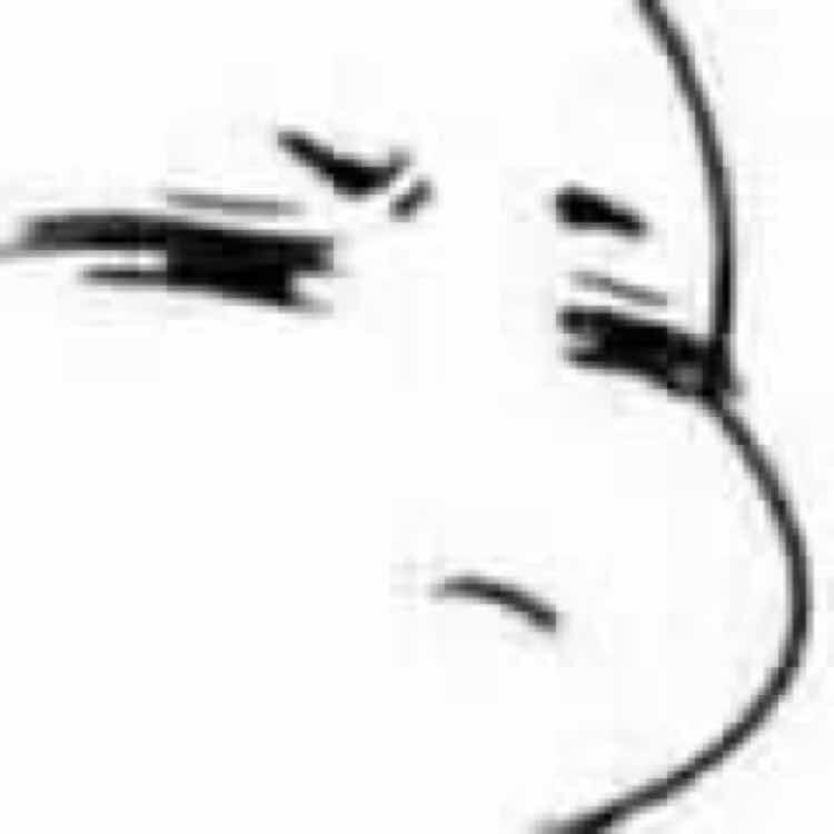 万物生长个没完没了