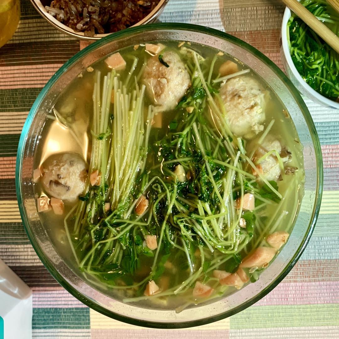 上汤豆苗