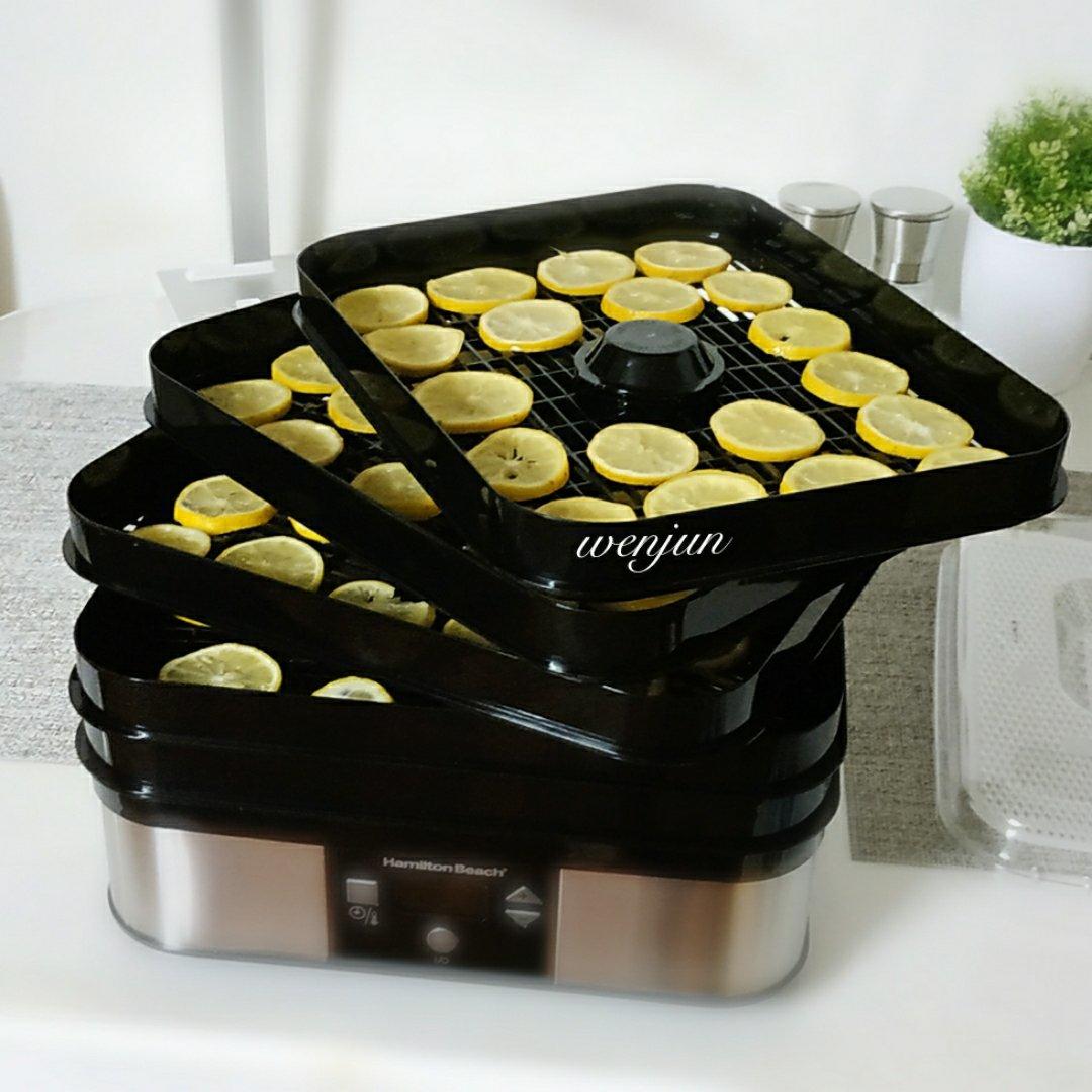 盐渍柠檬干片—汉美驰食物烘干机