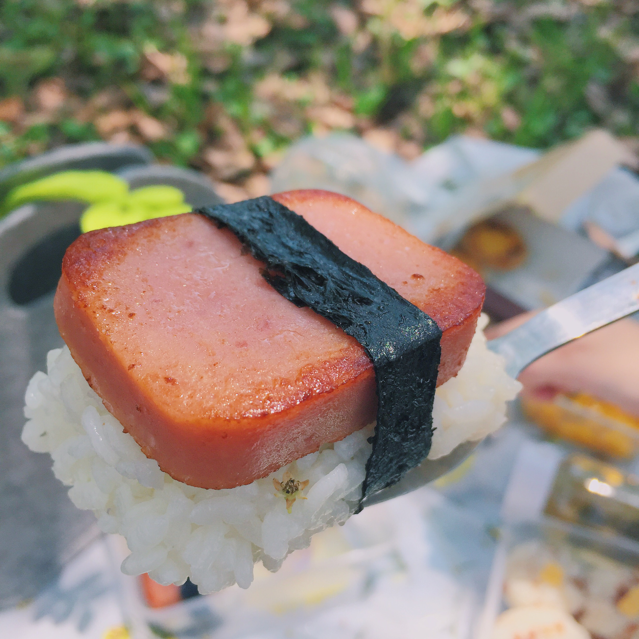 三明治饭团