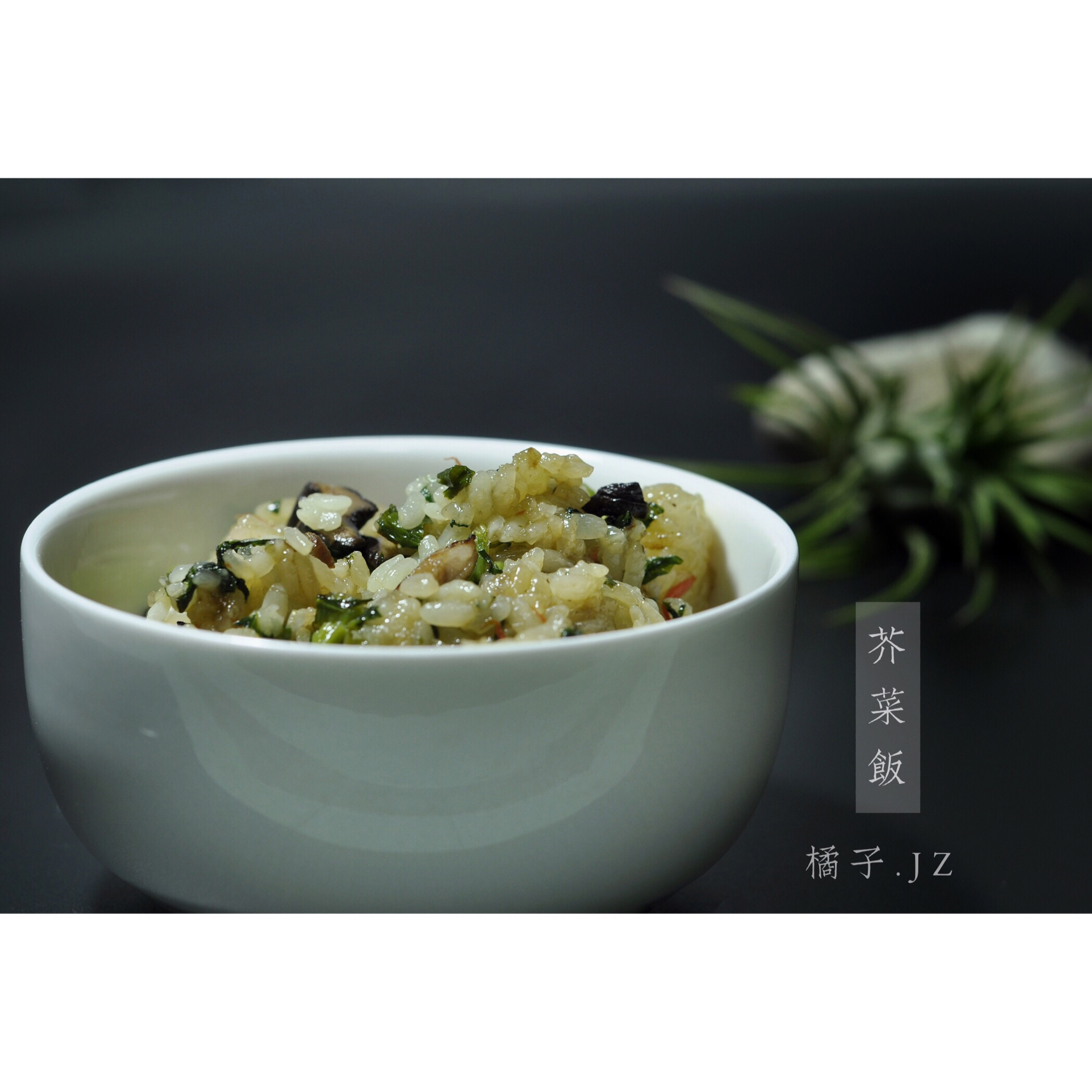 橘子录