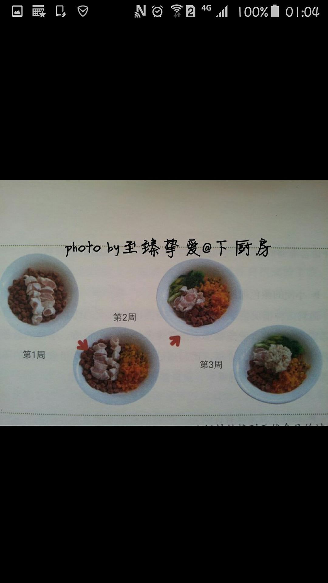 狗狗食谱之幼犬鲜食转换的做法