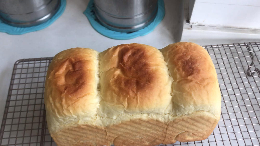 基础吐司的数据分析（新手揉手套膜）