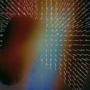 想要一只猫猫猫猫