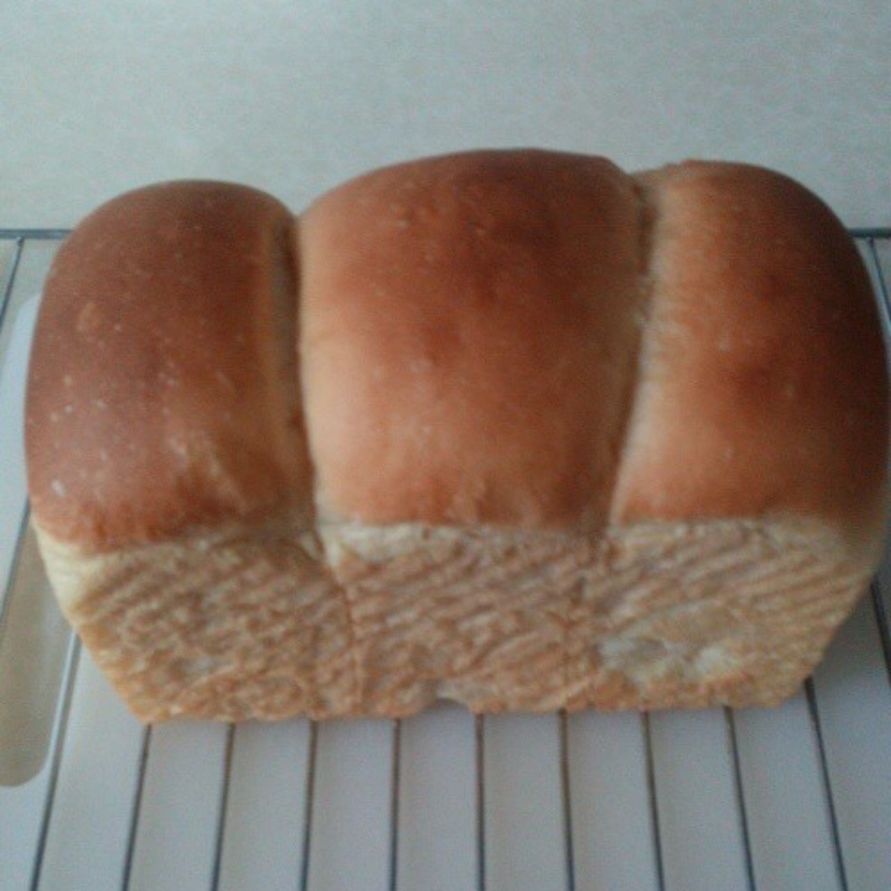 超级爆头王～牛奶蛋黄吐司