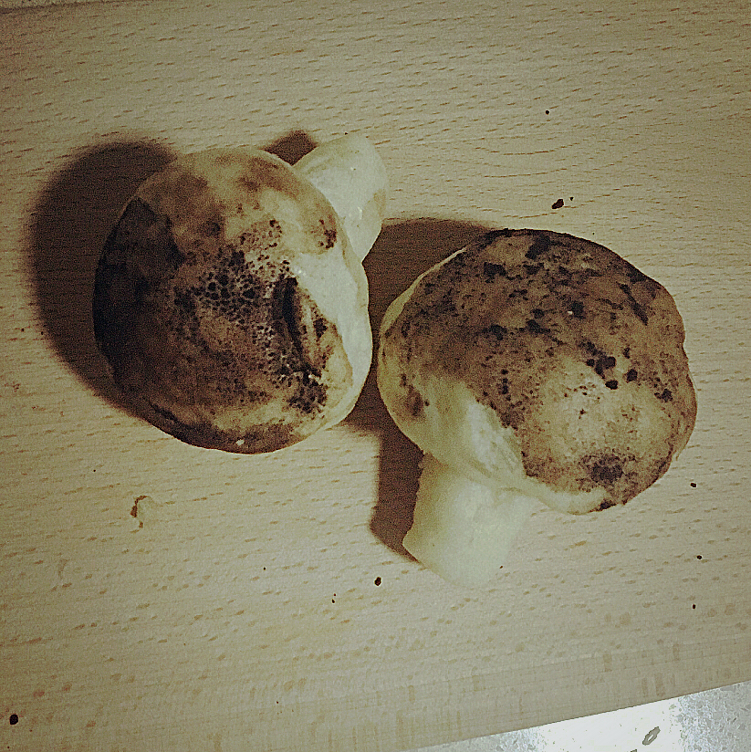 蘑菇包（奶黄馅）