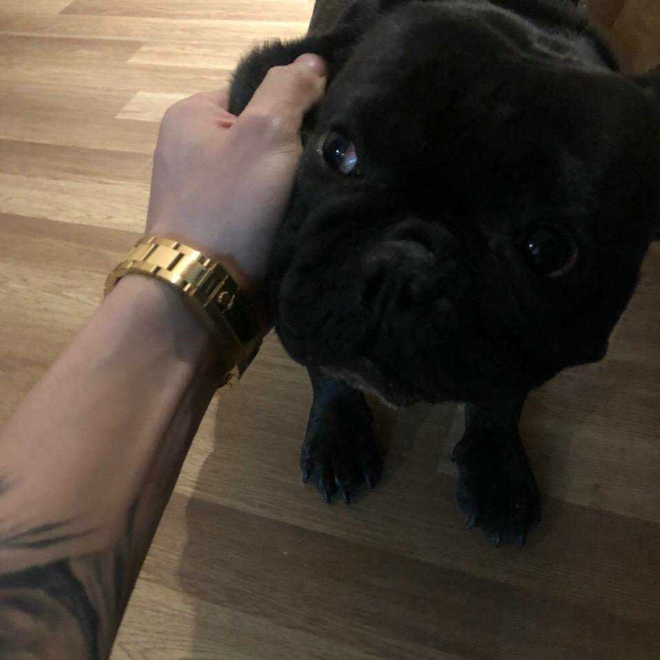小戴吃不饱