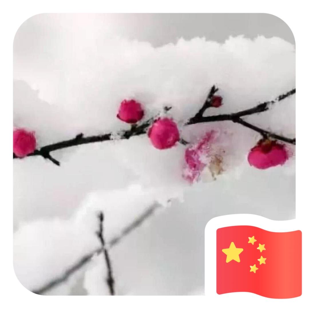 晨曦12301