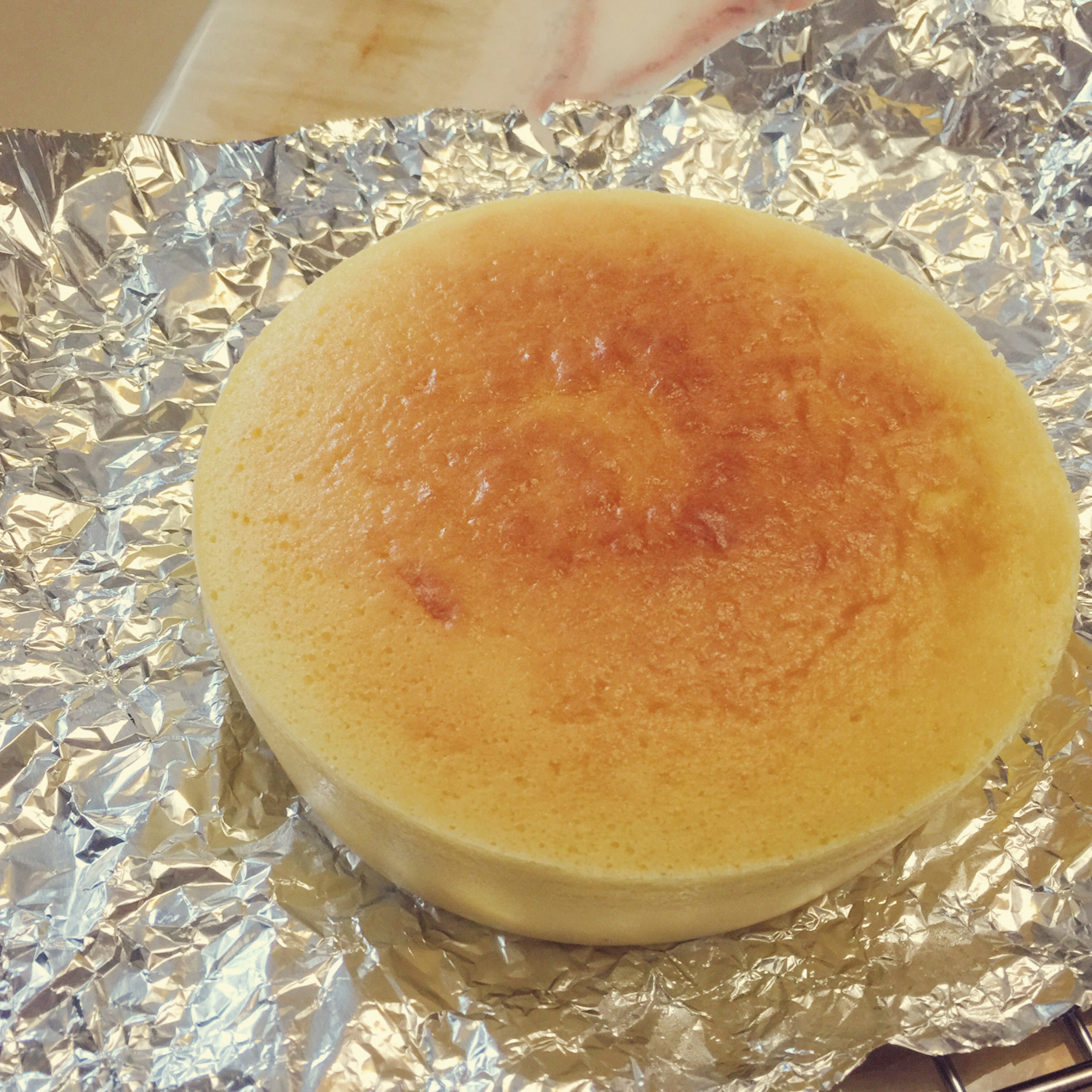 轻乳酪芝士蛋糕6寸#皮黑森林#