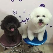 Chen_Zoey