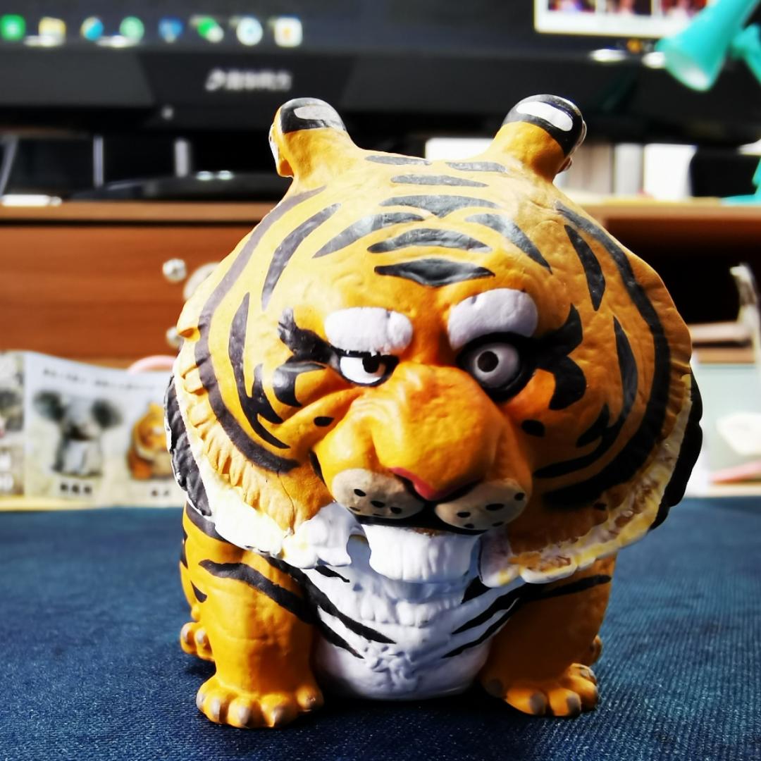 偷懒的安喵喵
