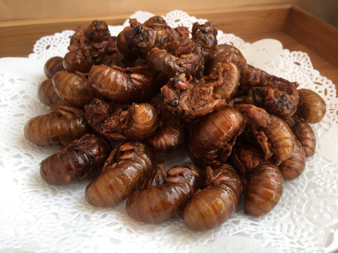 油炸金蝉