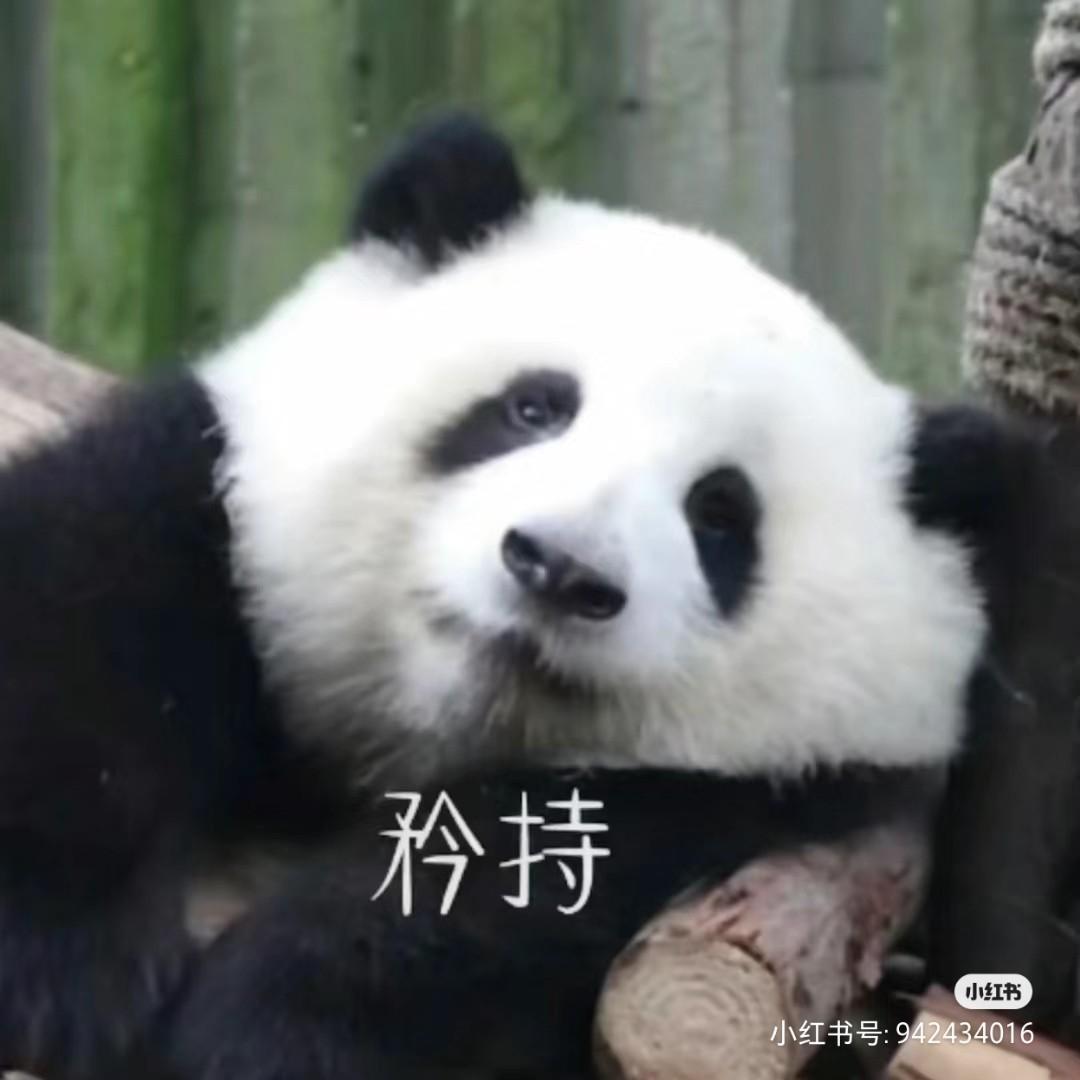 橘子大人xi