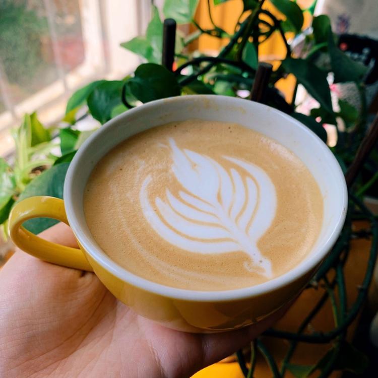 家用机拉花打奶泡终极解决方案（进阶版）