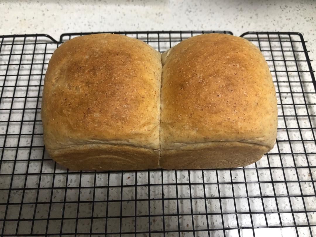 全麦吐司～17小时冷藏中种