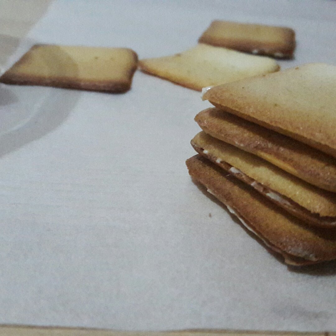 牛乳与巧克力交织成的浪漫滋味---北海道曲奇（君之）