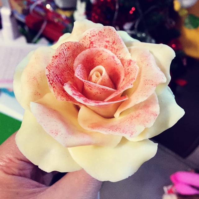 美丽的巧克力花