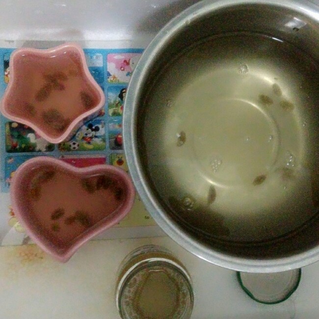 石花冻