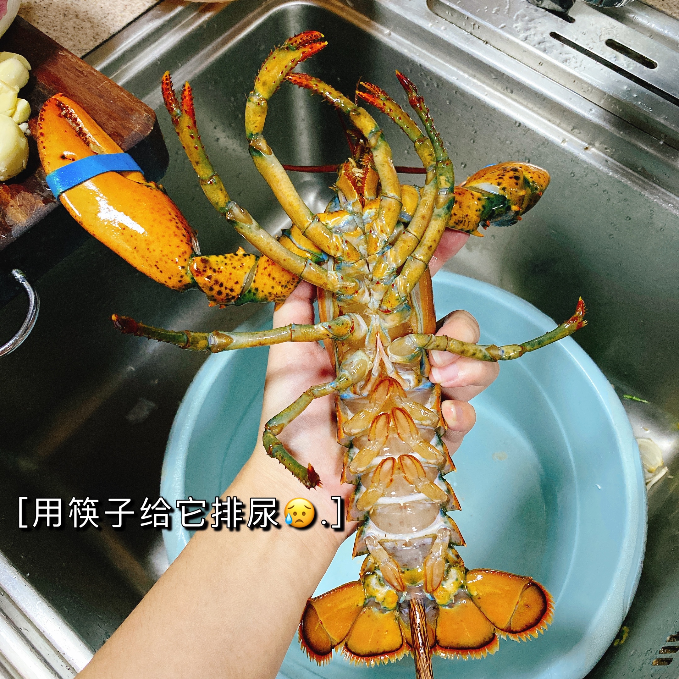 宴客倍有面儿的蒜蓉粉丝蒸波龙🦞分分钟化身星级大厨的做法 步骤2