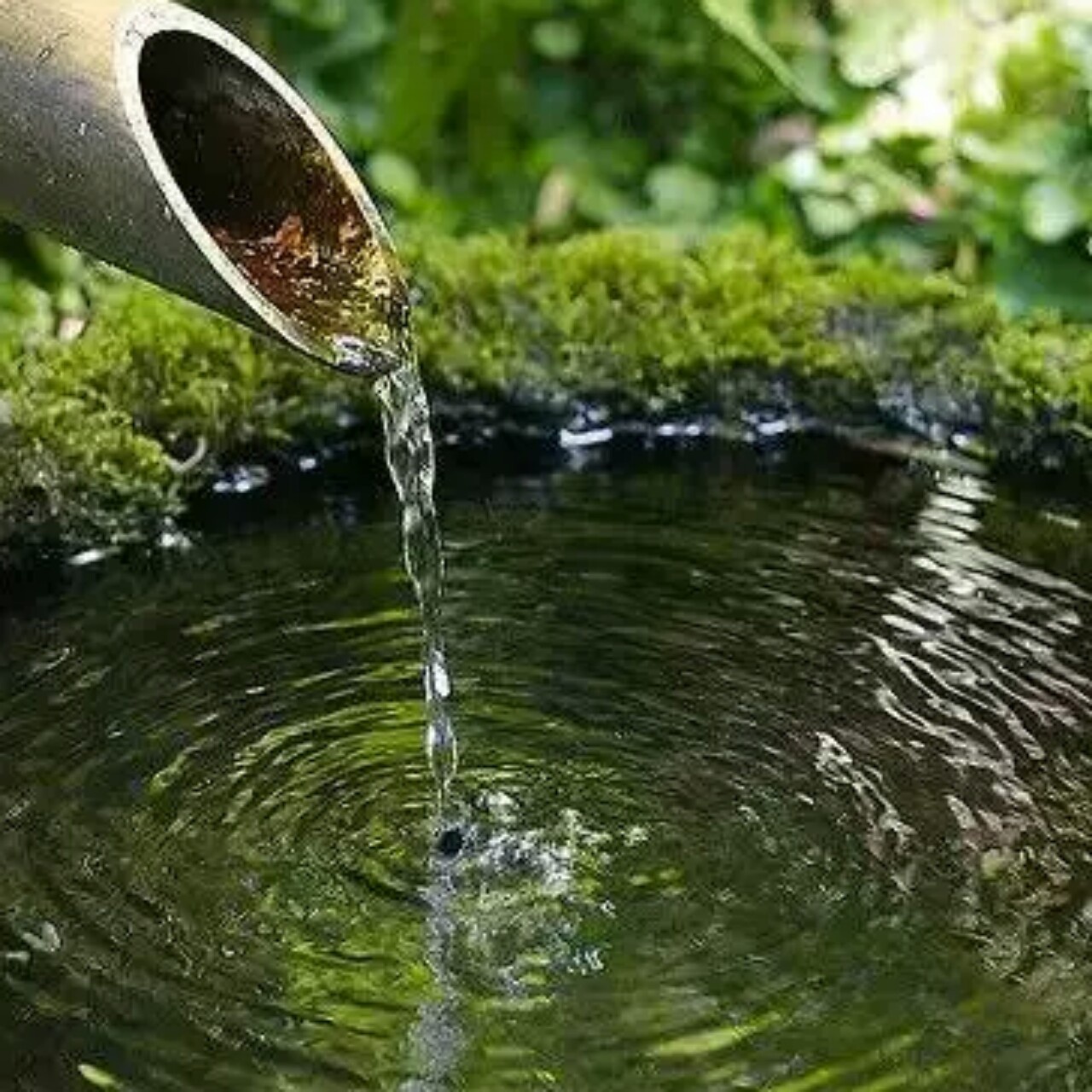 月亮宝盒的厨房