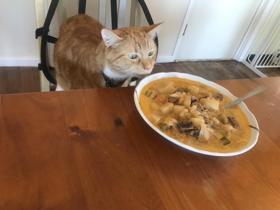 超简单版罗宋汤