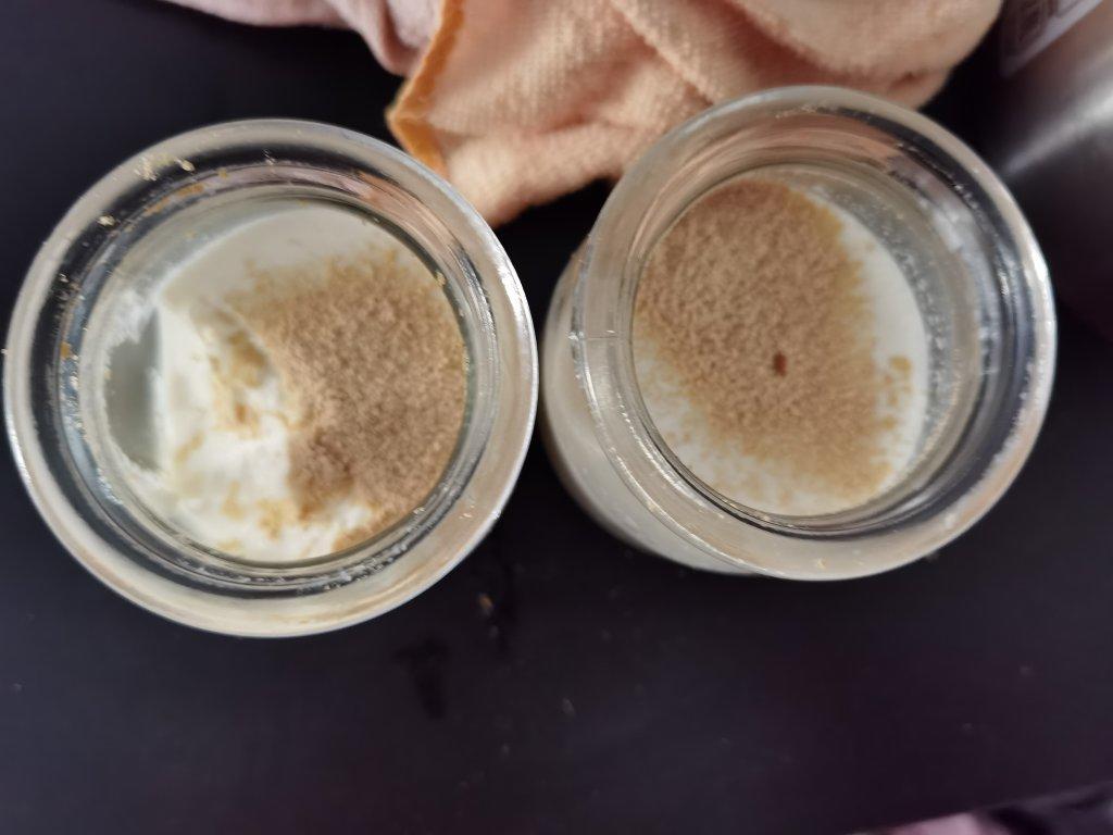 用豆浆就可以做的豆乳布丁，豆香浓郁，入口即化