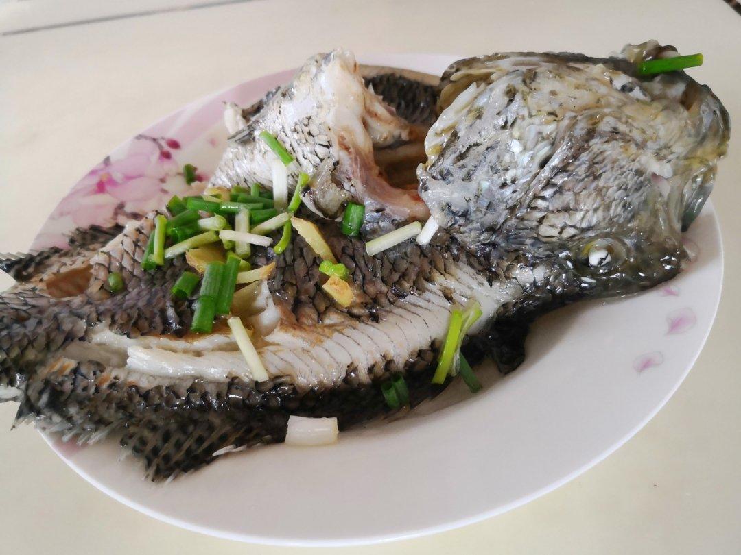 清蒸鱼（鲈鱼/多宝鱼/桂花鱼/石斑鱼……）