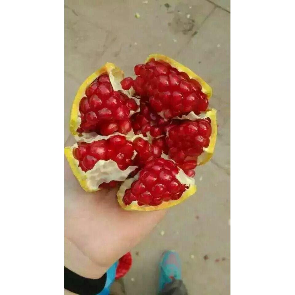 史上最强剥石榴法