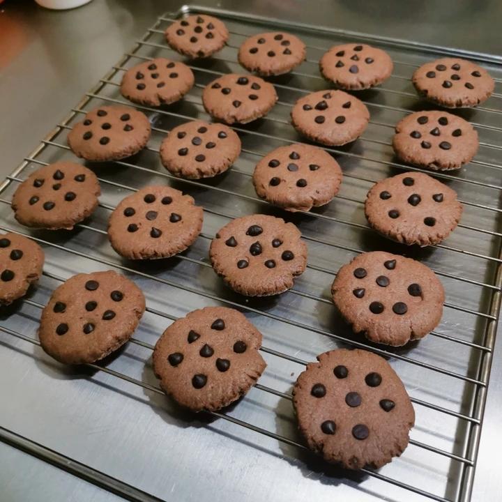 比趣多多还要好吃“巧克力豆曲奇饼干”